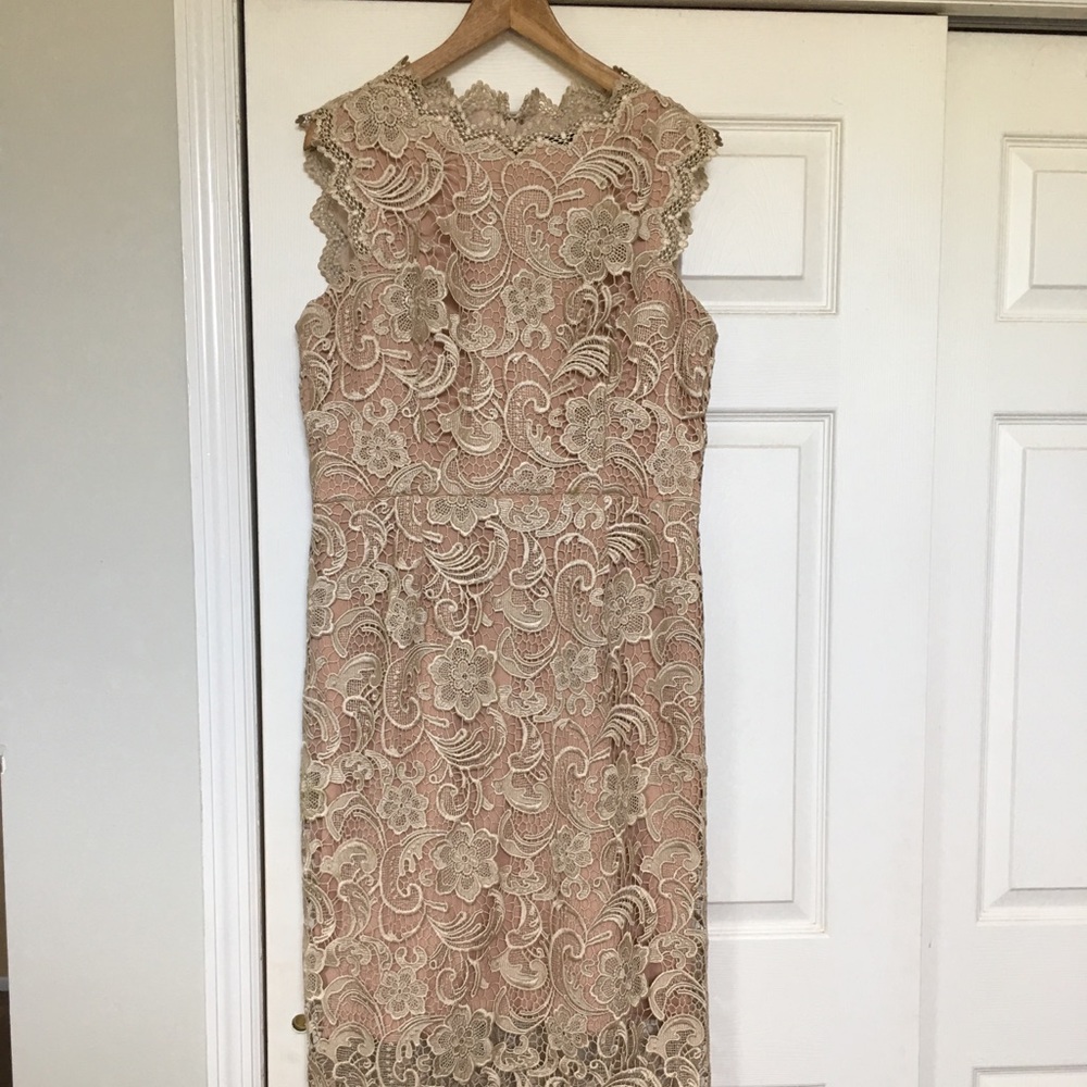 DRESS THE POPULATION Gorgeous lace dress